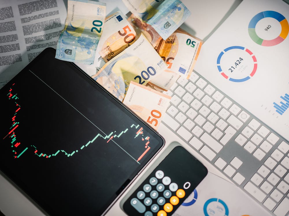 SEO Reporting and Analytics_SeeResponse